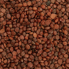 CLENZ Jujube Seeds 100% Natural 150 g