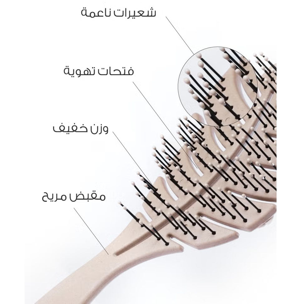 فرشاة الشعر شكل ورقة الشجر لإزالة من ميلا | صيدلية.كوم.