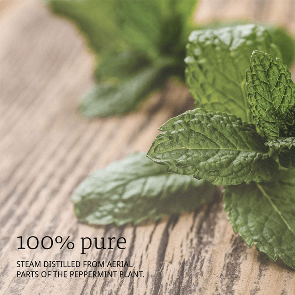 ناو زيت عضوي الاوريجانو