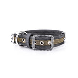 ماي فاميلي لندن طوق جلد أخضر 36×2.2 سم |  صيدلية.كوم.