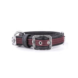 ماي فاميلي لندن طوق جلد للكلاب عنابي 45×2.2سم وسط |  صيدلية.كوم.