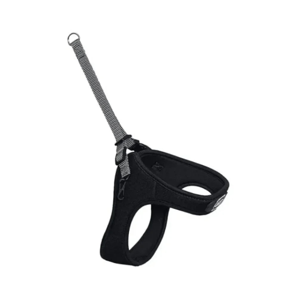 ام بي اس فوب سبيدي صدرية للكلاب لون أسود - صغير جداً | صيدلية.كوم.