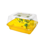 ام بي بيرغامو ايلبا حوض سلاحف بلاستيك وسط |  صيدلية.كوم.