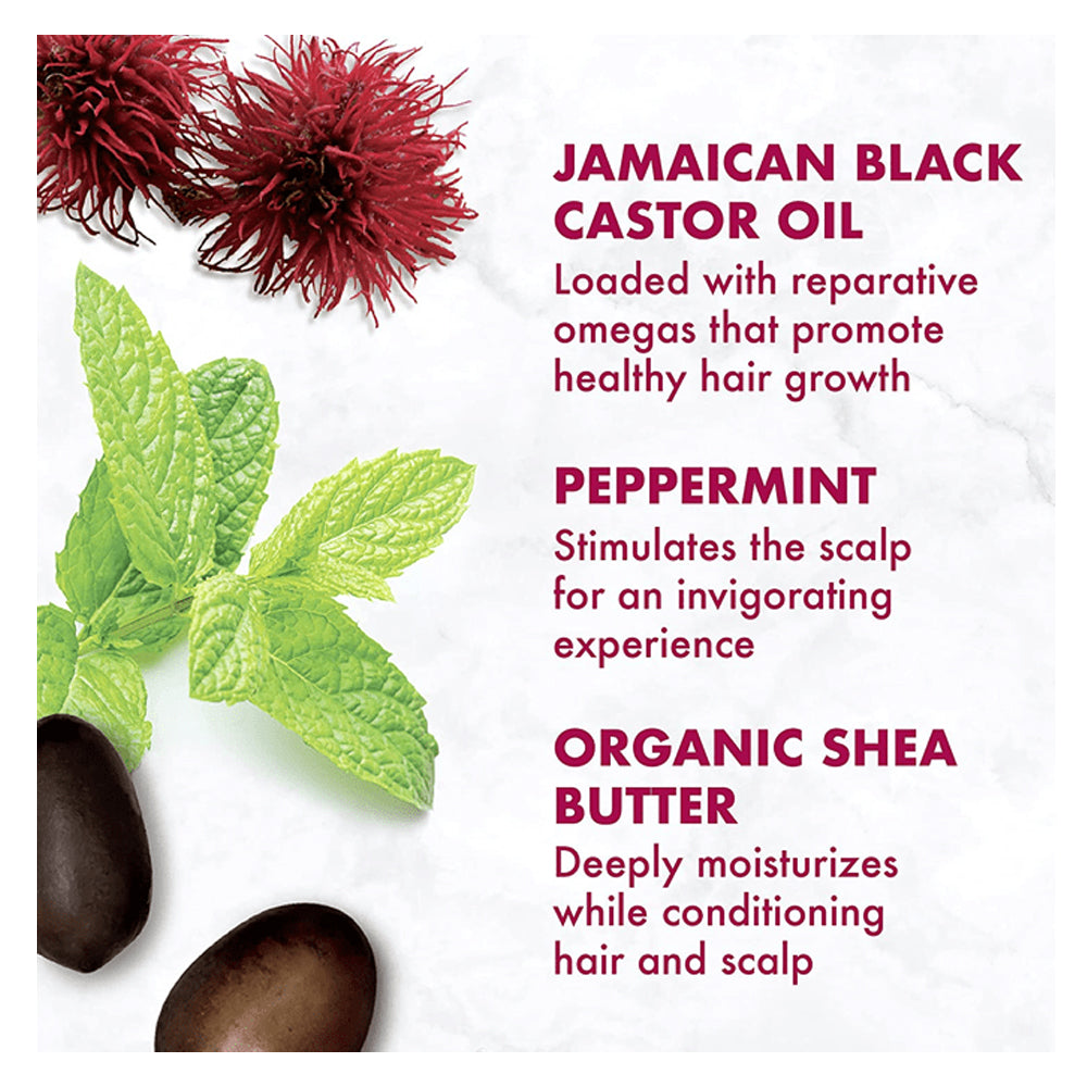 بلسم زيت الخروع الأسود الجامايكي لتقوية وتعزيز نمو الشعر 384 مل من شيا مويستشر |  صيدلية.كوم.