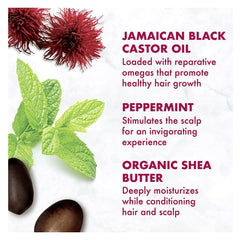 بلسم زيت الخروع الأسود الجامايكي لتقوية وتعزيز نمو الشعر 384 مل من شيا مويستشر | صيدلية.كوم.