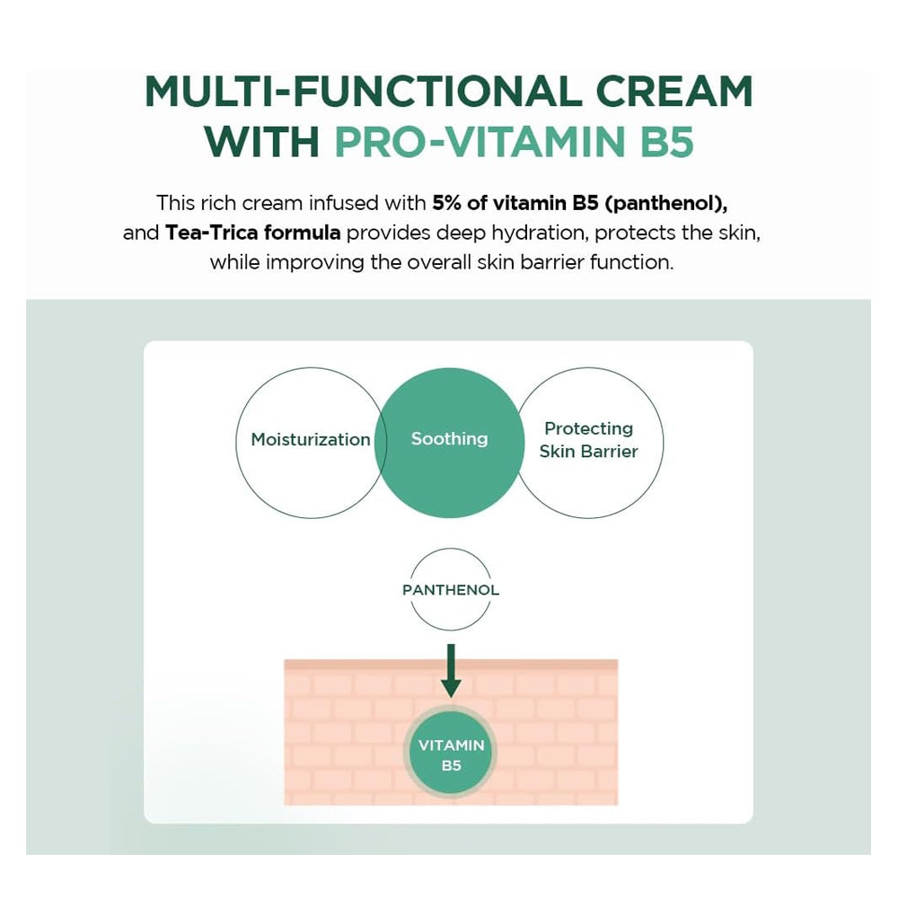 كريم سنتيلا تي تريكا B5 مدغشقر 75 مل من سكين 1004 | صيدلية.كوم.