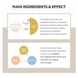 كريم مدغشقر سينتيلا المهدئ 75 مل من سكين 1004 | صيدلية.كوم.