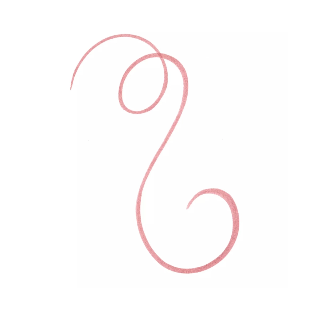 ايسينس قلم محدد الشفاه لاين اند ستاين! 02 براون | صيدلية.كوم.