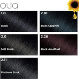 Garnier hair color first black 2.0