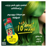 Purederm Magic Temporary Hair Dye Green 25 g