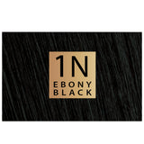 صبغة شعر كيت بدون امونيا 1N V2 اسود ابنوسي من كلر & سوا 135 مل | صيدلية.كوم.