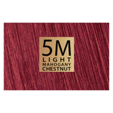 Kit hair dye without ammonia light mahogany chestnut 5M color-soin 135ml