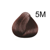 Kit hair dye without ammonia light mahogany chestnut 5M color-soin 135ml