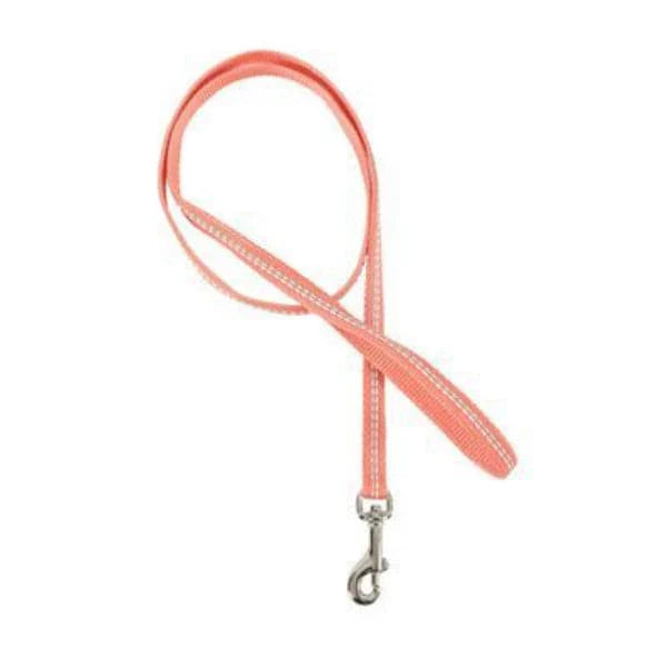 زولكس ليش خطين ملون نايلون - برتقالي | صيدلية.كوم.