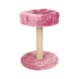 زولكس 2 في 1 خداشة | صيدلية.كوم.