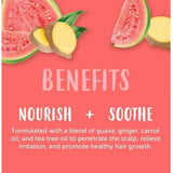 Cantu Guava & Ginger Anti Dandruff Shampoo 400 ml