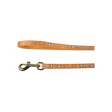 زولكس مشد للقطط رسمة قلب 1متر - برتقالي | صيدلية.كوم.