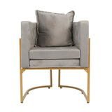 كرسي صالون نسائي رمادي مع حديد ذهبي |  صيدلية.كوم.