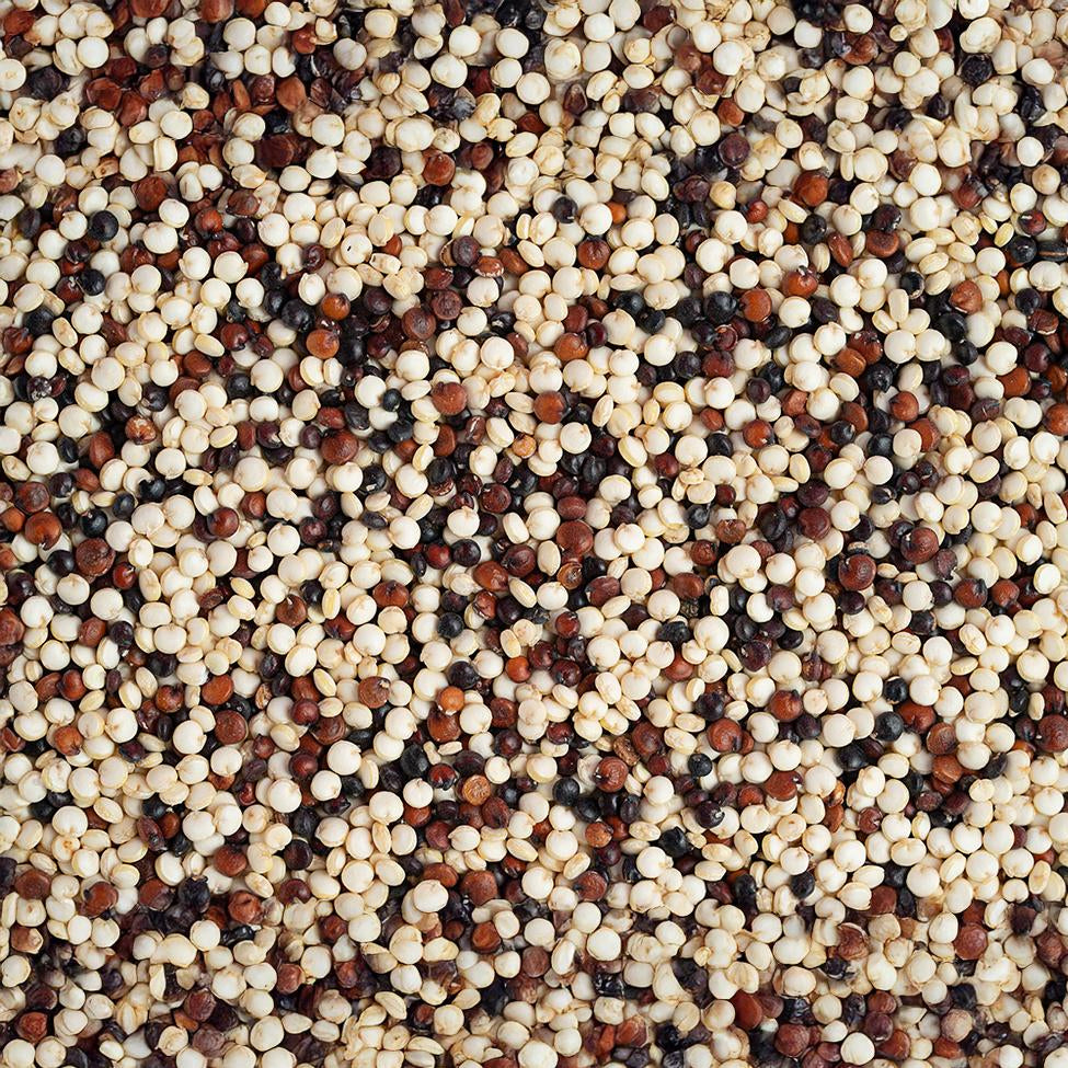 CLENZ Tricolor Quinoa Seeds 100% Natural 250 g