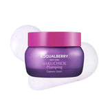 إيكوالبيري كريم للوجه بالباكوشيول لشد وإمتلاء البشرة 50 مل