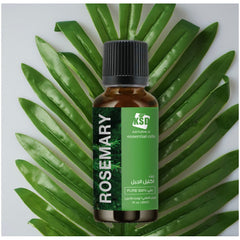 3- زيت إكليل الجبل العطري شفاف 30 مل من KSD 30