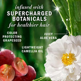 Pure Renew Hair Shampoo with Pure Grape Seeds Color Protection Herbal Essences 400 ml