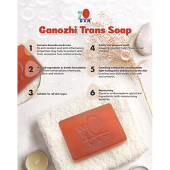 DXN Oocha Trans Soap