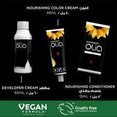 Garnier hair color olia red violet 4.26