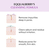 إيكوال بيري منظف المسام من الأرز الأرجواني 130 جرام | صيدلية.كوم.