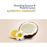 كريم شعر جولد ضد القشره بجوز الهند والليمون من بارشوت 140 مل | صيدلية.كوم.