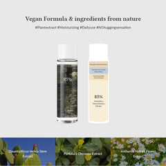 تونر انستاتيكيا لإعادة توازن البشرة 250 مل من دكتور الثيا