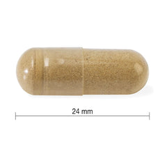 Jamieson Ashwagandha 60 Capsules