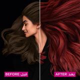 Garnier hair color olia red violet 4.26