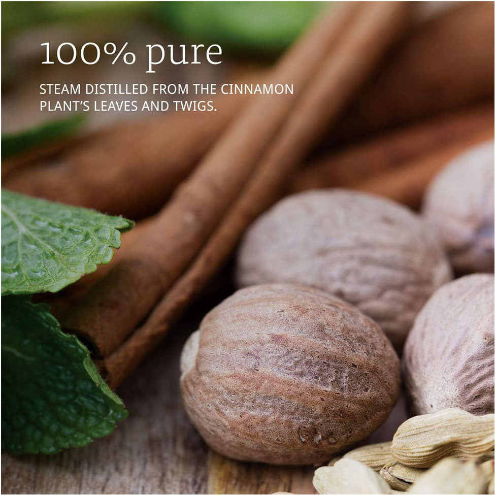 ناو فودز زيت قرفة كاسيا 1 أونصة