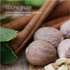 ناو فودز زيت قرفة كاسيا 1 أونصة