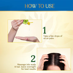 اعشاب الهند زيت الشعر اكليل الجبل و 7 بذور 280 مل | صيدلية.كوم.