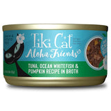 تيكي كات ألوها فريندز تونا سمك ابيض من المحيط ويقطين في المرق 85غ |  صيدلية.كوم.