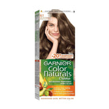 غارنييه كولور ناتشرلز صبغة شعر أشقر غامق رمادي