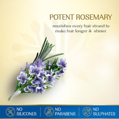 اعشاب الهند زيت الشعر اكليل الجبل و 7 بذور 280 مل | صيدلية.كوم.