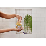 Dr.Teal's Body Scrub With Sugar, Shea Butter, And Almond Oil 538 Gm