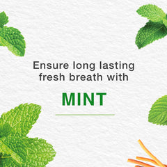 Himalaya Fresh Mint Herbal Toothpaste 2+1 Free 100 Ml