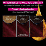 Garnier hair color olia red violet 4.26