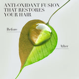 Pure Renew Hair Shampoo Repair with Moroccan Argan Oil v2 from Herbal Essences 400 ml