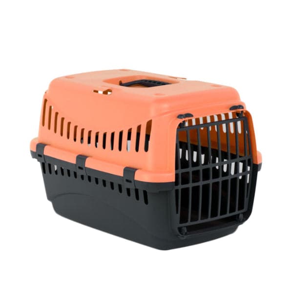 أم بي برغامو حامل تنقل صغير | صيدلية.كوم.