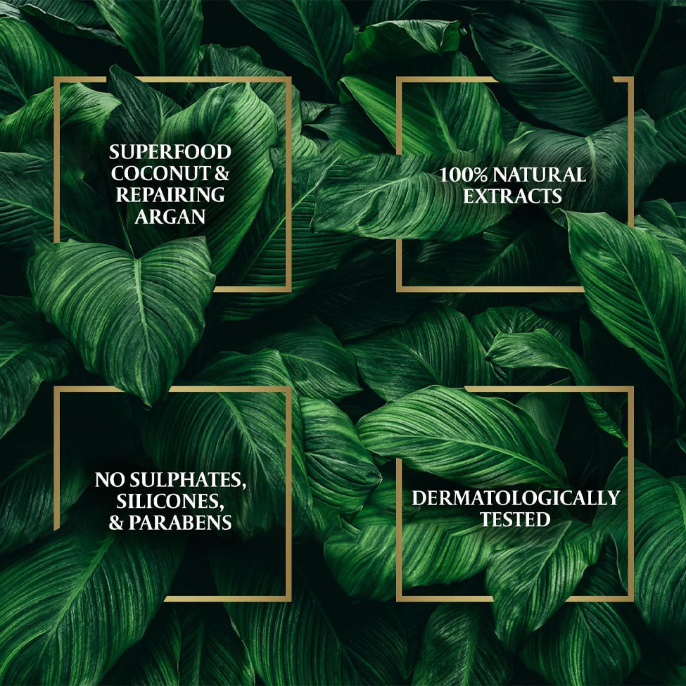 زيت شعر بزيت جوز الهند الغني بالارغان من بارشوت 300 مل | صيدلية.كوم.