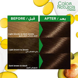 Garnier Color Naturals Hair Dye Brown 4