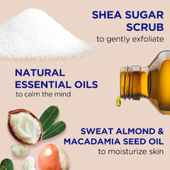 Dr.Teal's Body Scrub With Sugar, Shea Butter, And Almond Oil 538 Gm