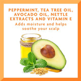 قطرات زيت لفروة الراس 59 بروتكتيف ستايلز باي انجيلا اليومي من كانتو | صيدلية.كوم.