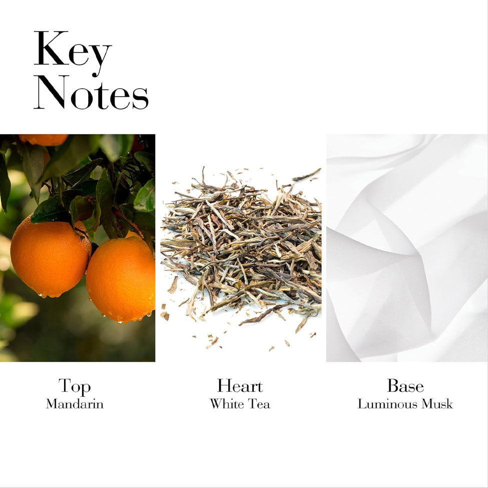 إليزابيث أردن وايت تي ماندرين بلوسوم أو دو تواليت 100 مل | صيدلية.كوم.