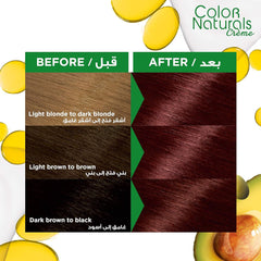 Garnier Color Naturals 4.6 Burgundy Hair Dye